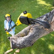 Best Pest Control for Lawns  in Maineville, OH